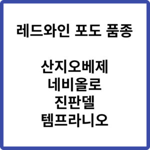 레드와인 포도 품종