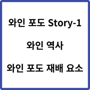 와인 역사