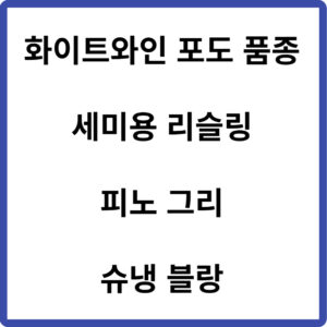 화이트와인 포도 품종